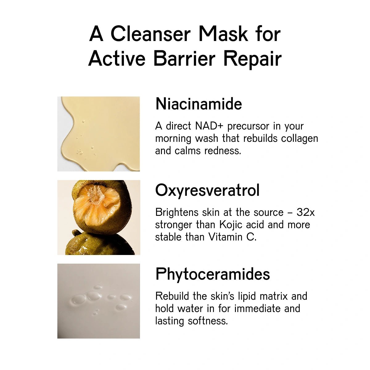 ABUNDANCE Plumping Phytoceramide Cleansing Mask