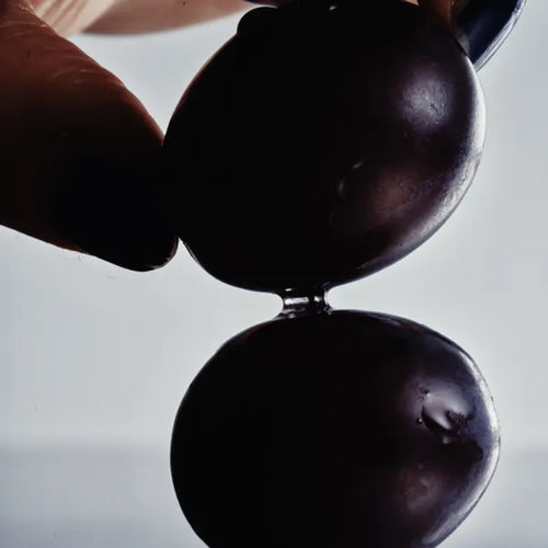 Grape Seed