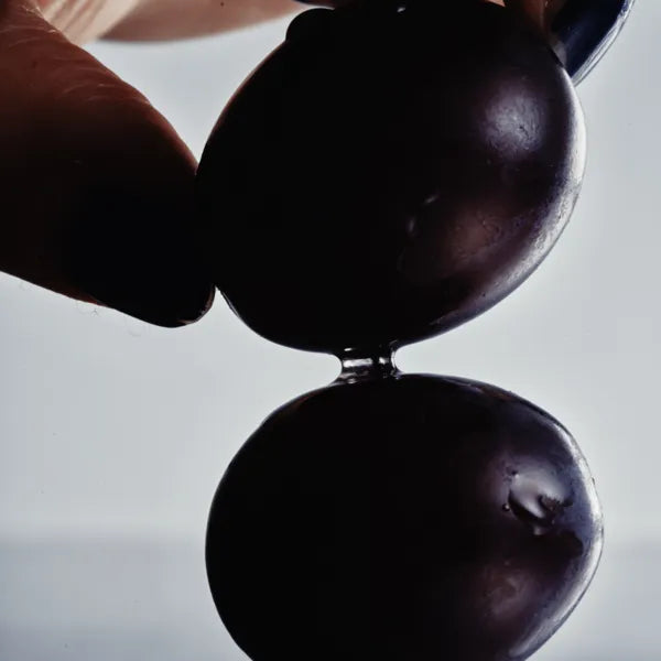 Grape Seed