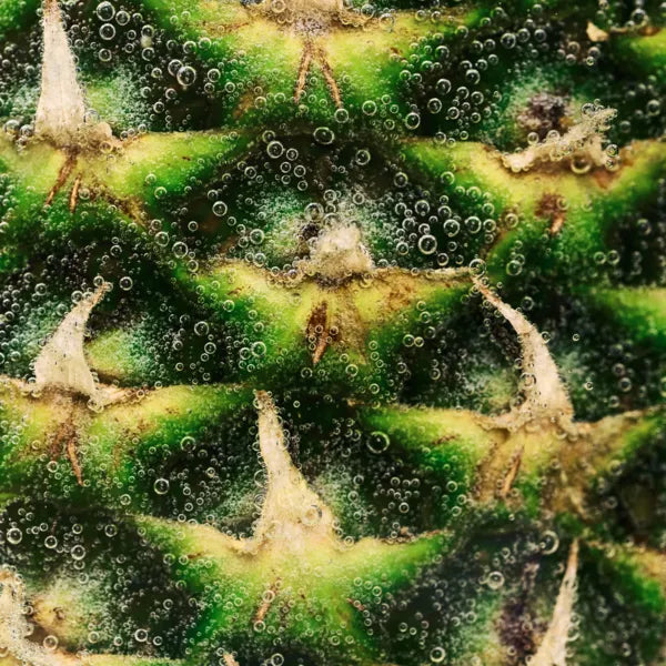 Pineapple Phytoceramides