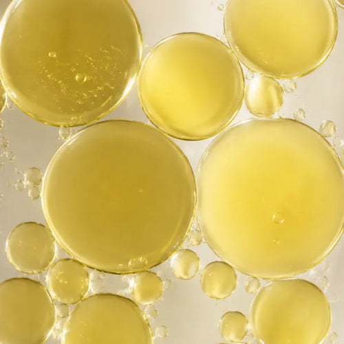 Rapeseed Oil