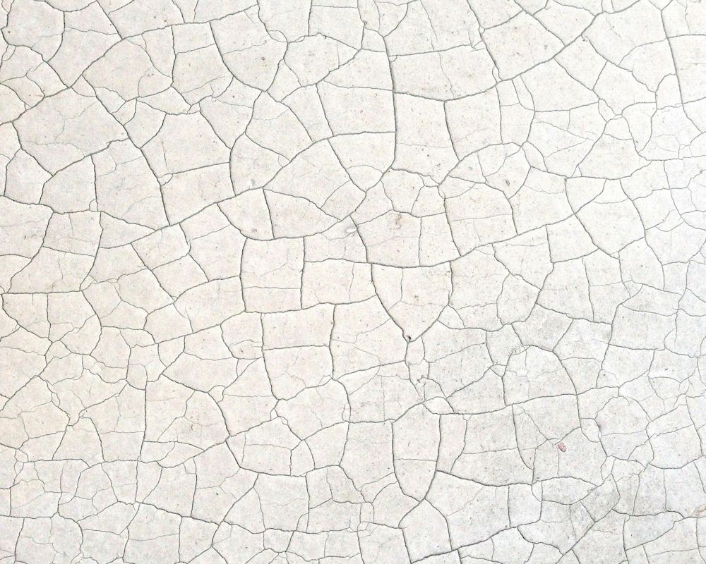 Image of dry skin texture and how to treat it 
