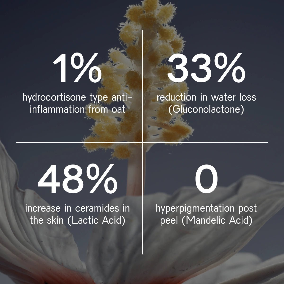 RENEW Resurfacing Peptide Toner Treatment