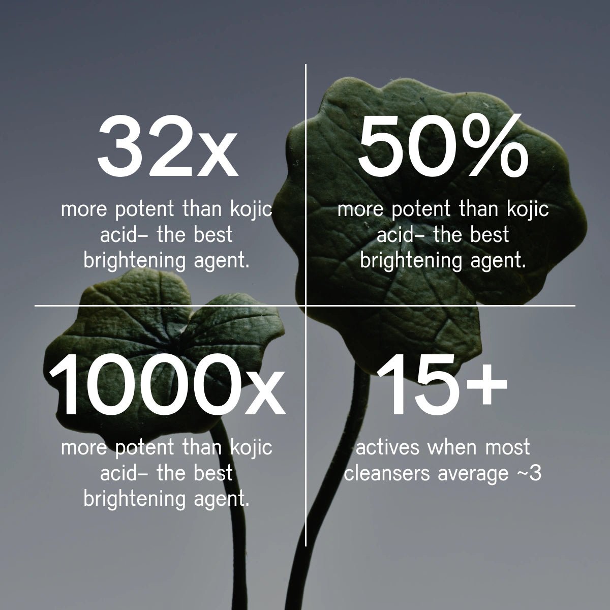 Skin Longevity System