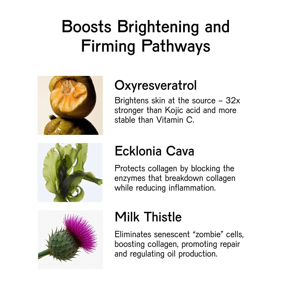 POWER Brightening Bicelle Serum
