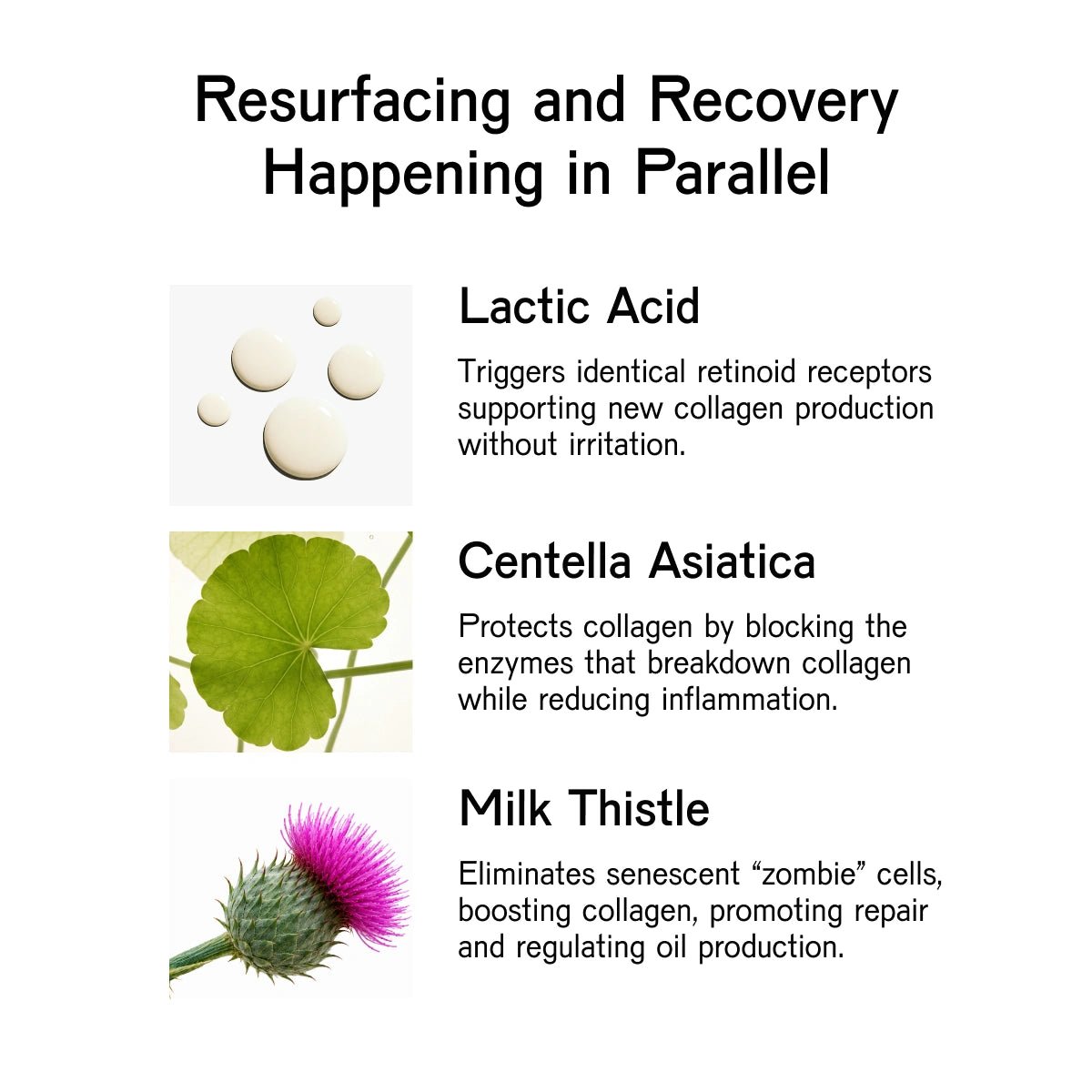RENEW Resurfacing Peptide Toner Treatment