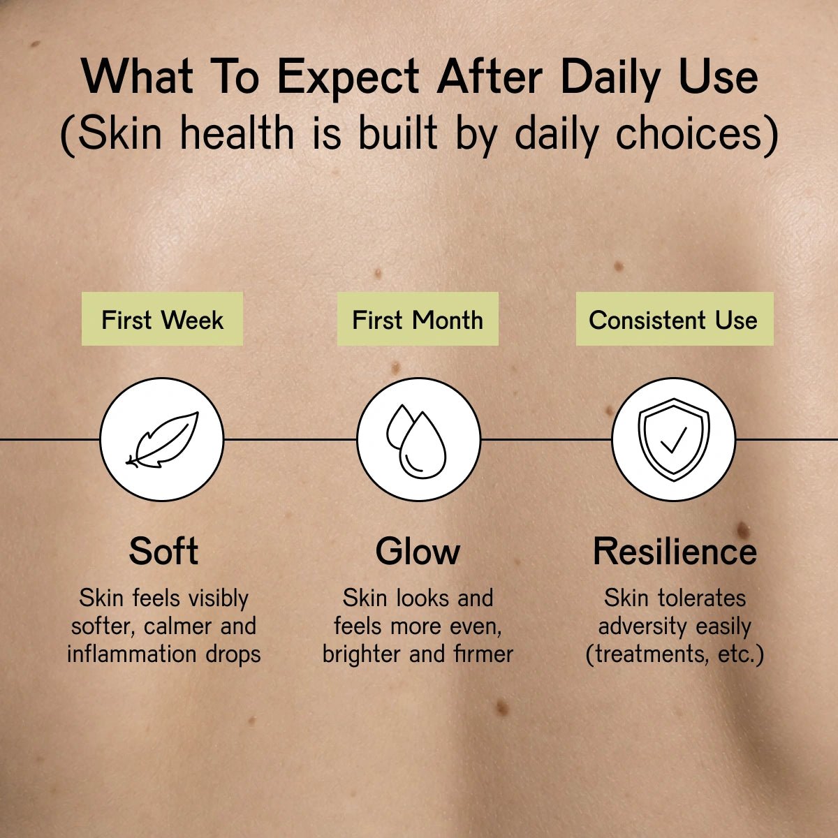 Skin Longevity System