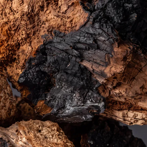 Chaga Mushroom Extract