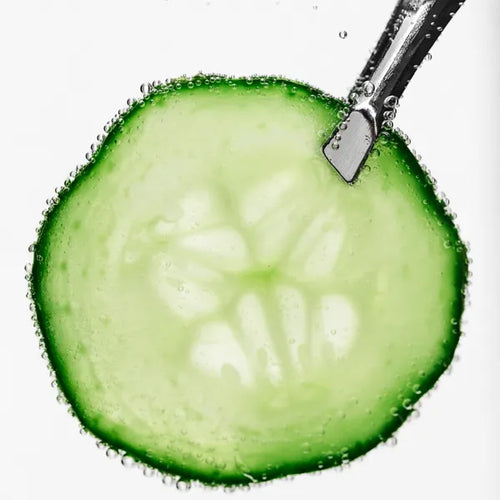 Cucumber Fruit Extract