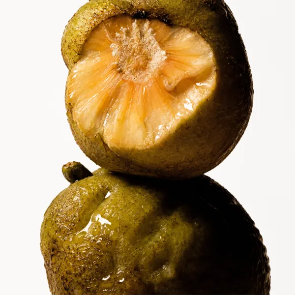 Monkey Fruit (Oxyresveratrol)
