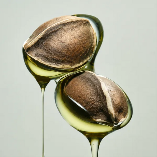 Moringa Seed Oil