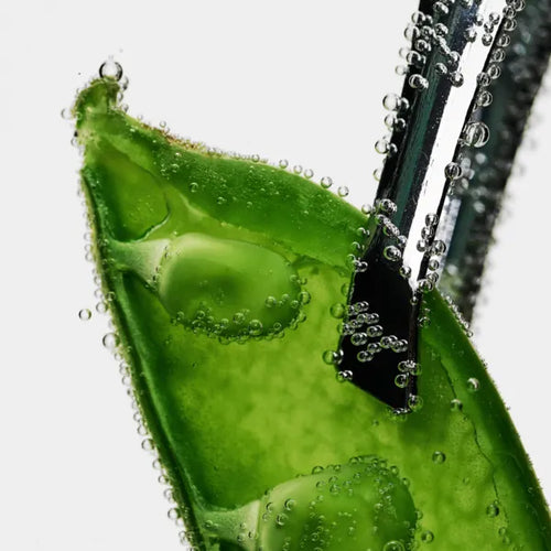 Pea Sprout Extract