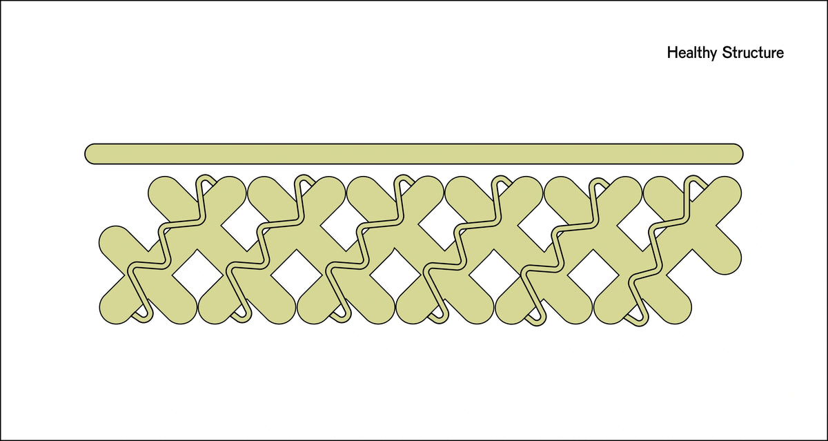 Healthy Barrier